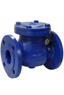 Industrial check valve